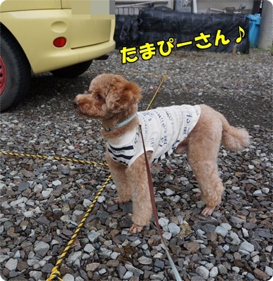 DSC05987.JPG