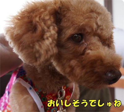 DSC06017.JPG