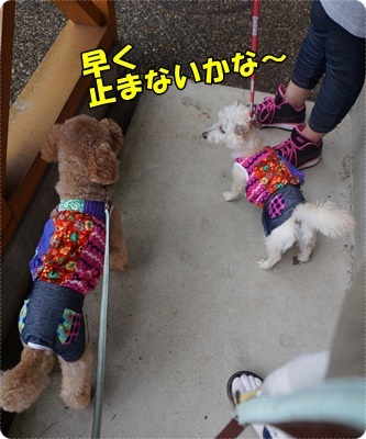 DSC06069.JPG