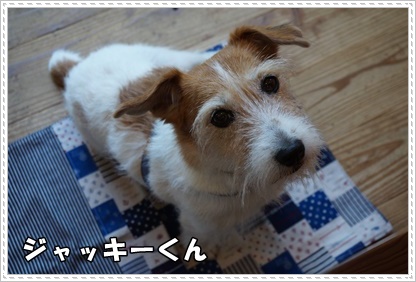 DSC06303.JPG