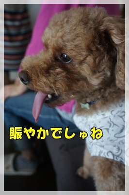 DSC06565.JPG