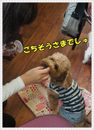 DSC06749.JPG