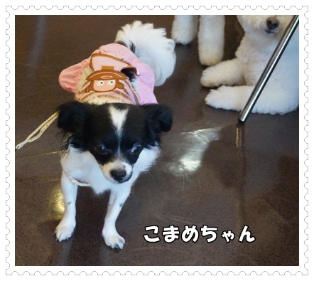 DSC06912.JPG