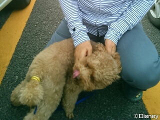 2014-09-11_05.13.22decr.jpg