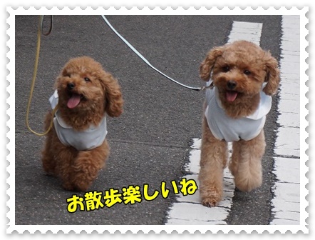 DSC07018.JPG