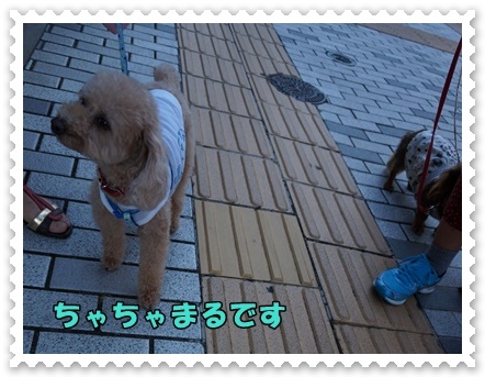 DSC07048.JPG