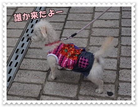 DSC07110.JPG