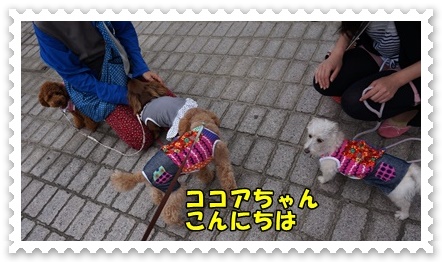 DSC07116.JPG