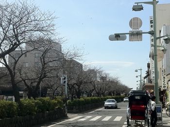 画像 273.jpg