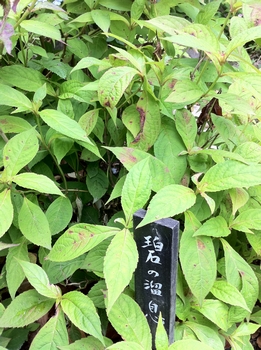 画像 404.jpg