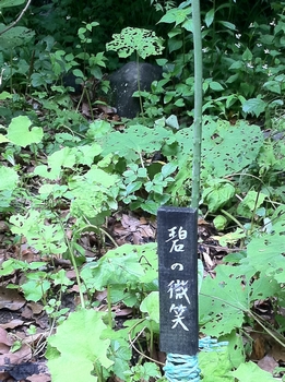 画像 405.jpg