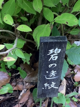 画像 406.jpg
