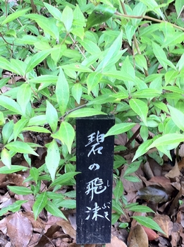画像 407.jpg