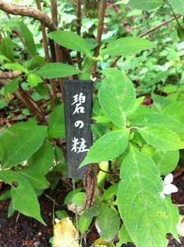 画像 408.jpg
