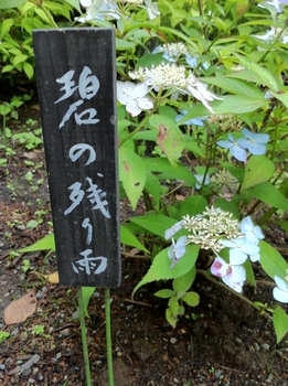 画像 409.jpg