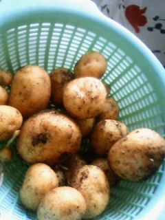 201006291709000.jpg