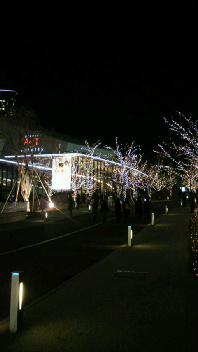 2010121901400001.jpg