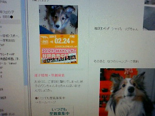 201202240124000.jpg
