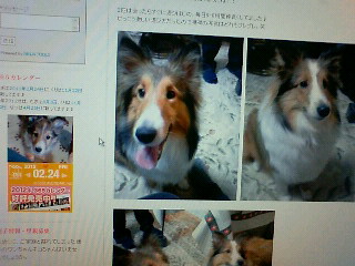 201202240128000.jpg