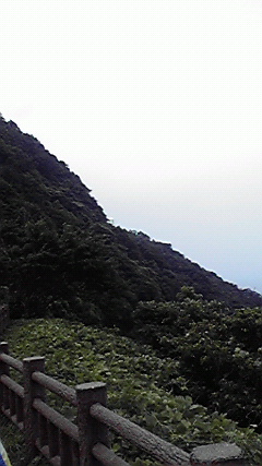 P1000427.JPG