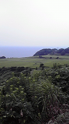 P1000432.JPG
