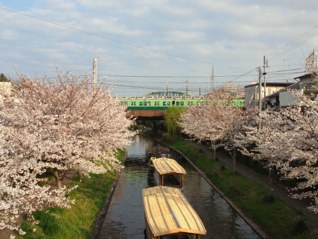 NEC_0211.JPG