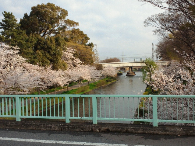 NEC_0205.JPG