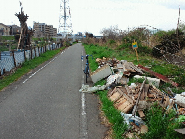 NEC_0203.JPG