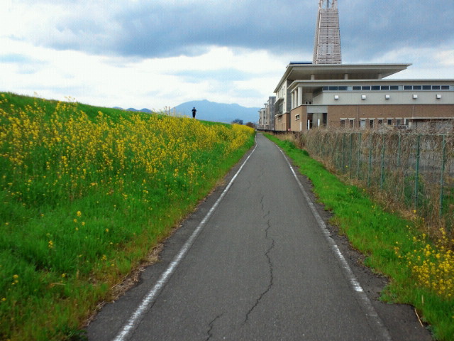 NEC_0195.JPG