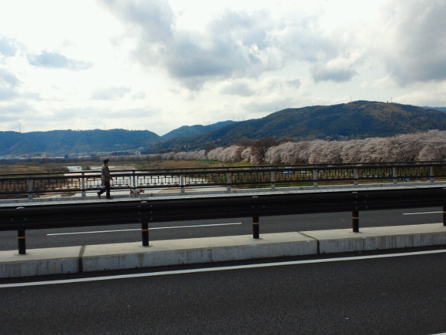 NEC_0193.JPG