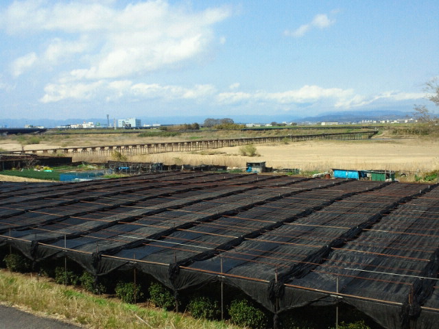 NEC_0191.JPG