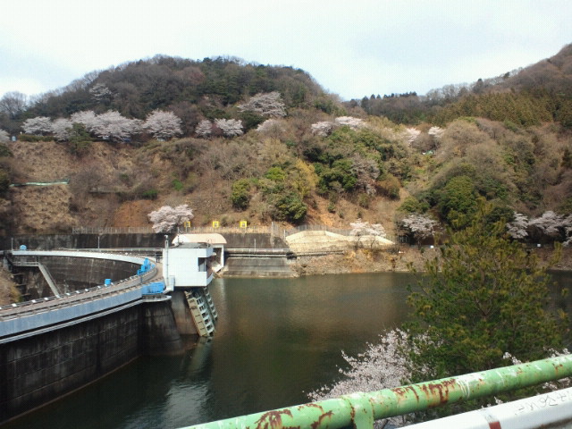 NEC_0190.JPG
