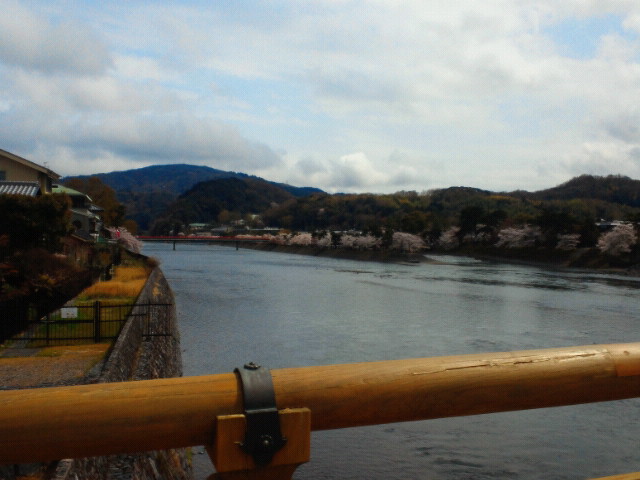 NEC_0185.JPG