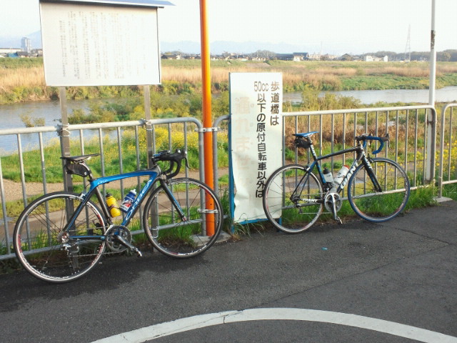 NEC_0308.JPG