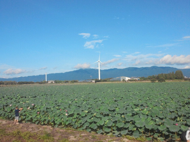 NEC_0028.JPG