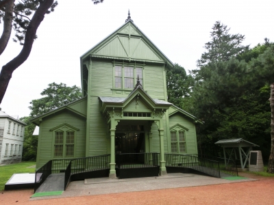 動物標本が展示物の中心です