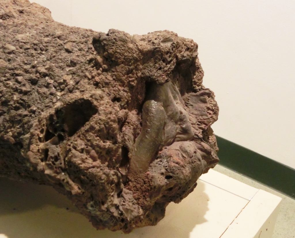 雷管石 fulgurite1.jpg