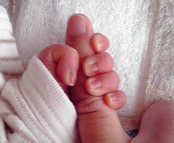 2013040816190000.jpg