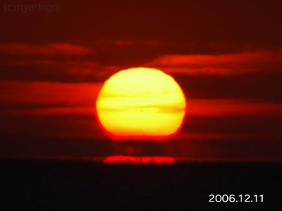 061211_nyaringo