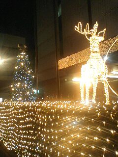 071114_1827~0001.jpg