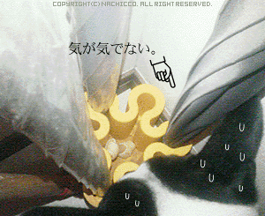 2008/1021/dog1