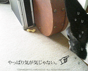 2008/1021/dog2