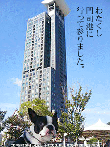2008/1022/dog1