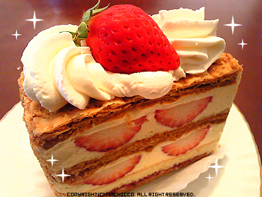 2009/05/06/life1