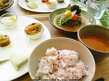 2009/05/16/life1