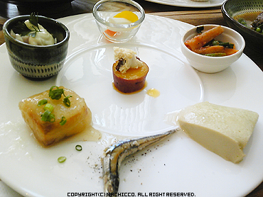 2009/05/16/life2