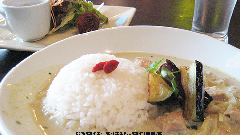 nachicco,ボストンテリア,グリーンカレー