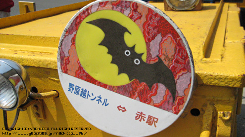 nachicco,ボストンテリア,赤村トロッコ