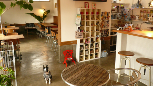 (c)nachicco, グッズ, 514cafe, ボストンテリア