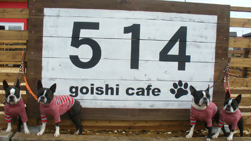 (c)nachicco, グッズ, 514cafe, ボストンテリア